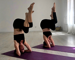 Clases de yoga en Zaragoza